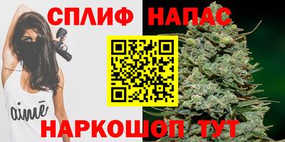 Альфа ПВП Краснознаменск