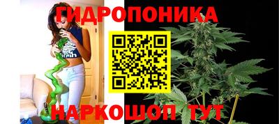 МДПВ Краснодар